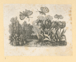 Flowers.