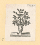 Flowers.