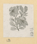 Flowers.