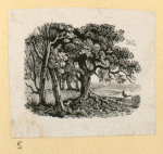 Trees.