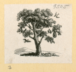 Trees.