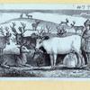 Scrap Book, Volume 6, p.61