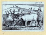Scrap Book, Volume 6, p.61