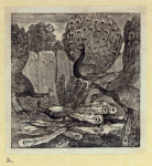 Scrap Book, Volume 6, p.79