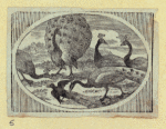 Scrap Book, Volume 6, p.79