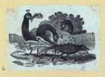 Scrap Book, Volume 6, p.79