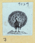 Scrap Book, Volume 6, p.79