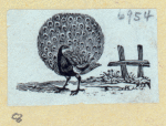 Scrap Book, Volume 6, p.79