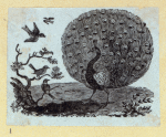 Scrap Book, Volume 6, p.80