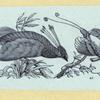 Scrap Book, Volume 6, p.80