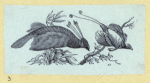 Scrap Book, Volume 6, p.80