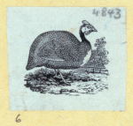 Scrap Book, Volume 6, p.80