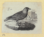 Scrap Book, Volume 6, p.81