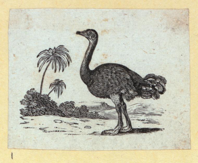 Index