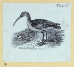 Scrap Book, Volume 6, p.82
