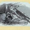 Scrap Book, Volume 6, p.82