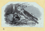 Scrap Book, Volume 6, p.82