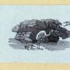 Scrap Book, Volume 6, p.82