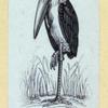 Scrap Book, Volume 6, p.82