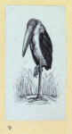 Scrap Book, Volume 6, p.82