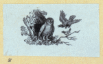 Scrap Book, Volume 6, p.82