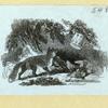 Scrap Book, Volume 6, p.89