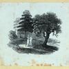 Scrap Book, Volume 8, p.11