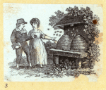 Scrap Book, Volume 7, p.6
