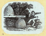 Scrap Book, Volume 7, p.6