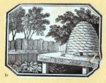 Scrap Book, Volume 7, p.6