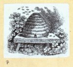 Scrap Book, Volume 7, p.6