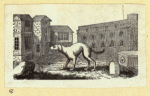 Scrap Book, Volume 7, p.20