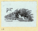 Scrap Book, Volume 7, p.20
