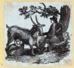 Scrap Book, Volume 7, p.22