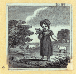 Scrap Book, Volume 7, p.23