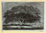 Scrap Book, Volume 7, p.44
