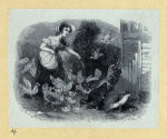 Scrap Book, Volume 8, p.17