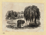 Scrap Book, Volume 8, p.17