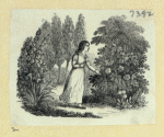 Scrap Book, Volume 8, p.19