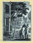 Scrap Book, Volume 8, p.23