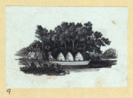 Scrap Book, Volume 8, p.37