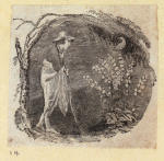 Scrap Book, Volume 8, p.39