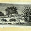 Scrap Book, Volume 7, p.68