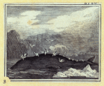 Scrap Book, Volume 7, p.76