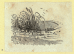 Scrap Book, Volume 7, p.77