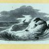 Scrap Book, Volume 7, p.78