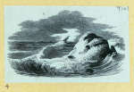 Scrap Book, Volume 7, p.78