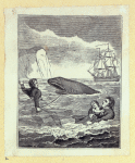 Scrap Book, Volume 7, p.82