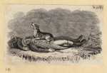 Scrap Book, Volume 8, p.44