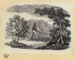 Scrap Book, Volume 8, p.46